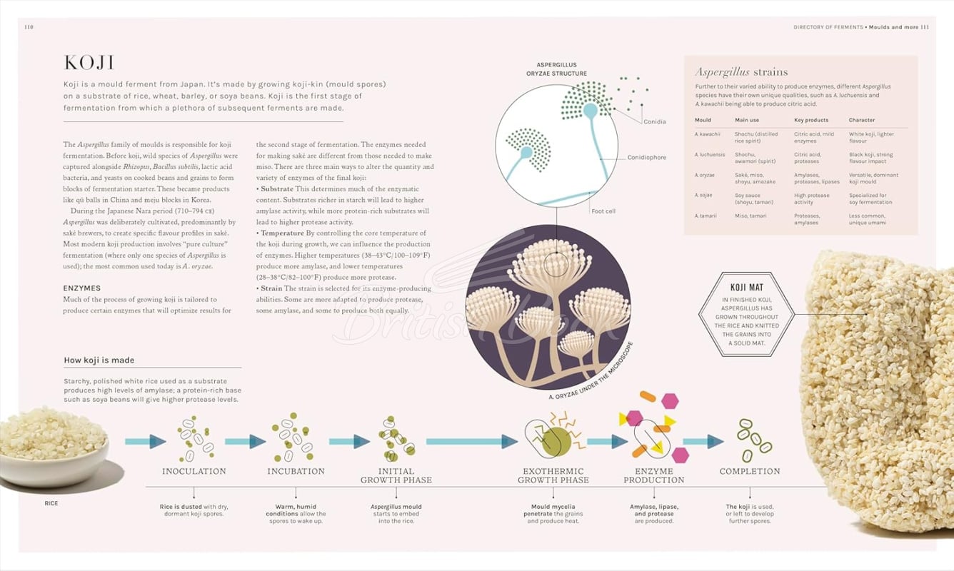 Книга The Science of Fermentation зображення 6