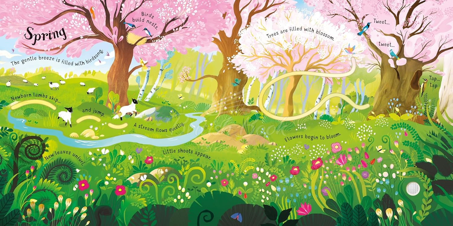 Книга Vivaldi's The Four Seasons зображення 2
