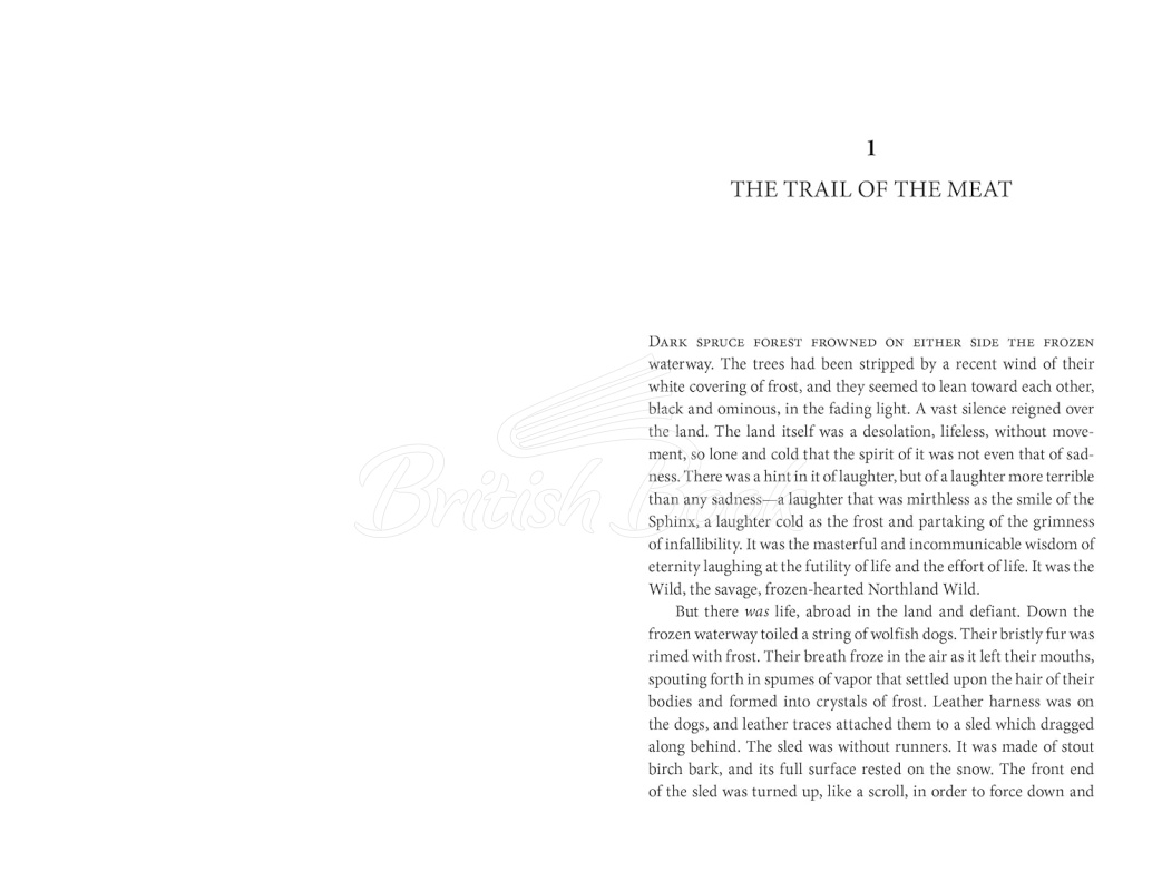 Книга The Call of the Wild and White Fang зображення 4