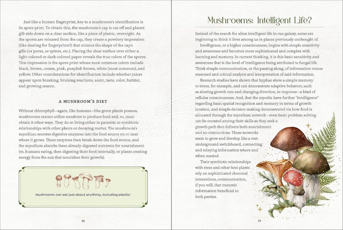 Книга Mystical Mushrooms изображение 2