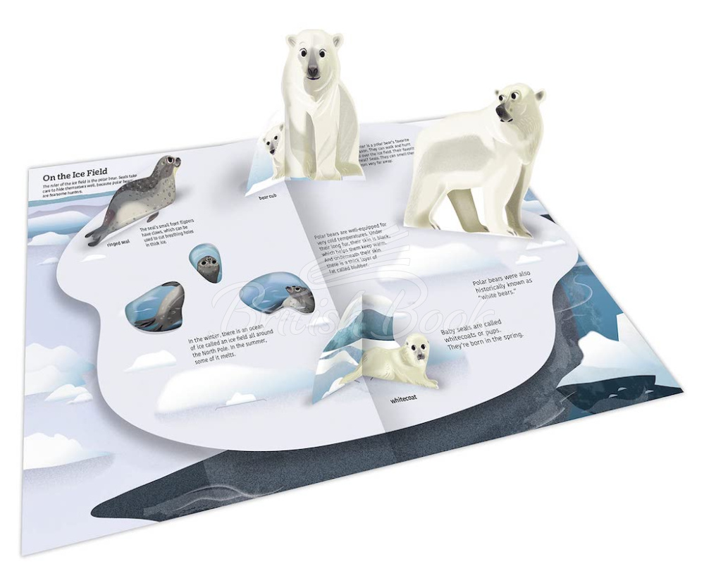 Книга Ultimate Spotlight: Polar Animals зображення 2