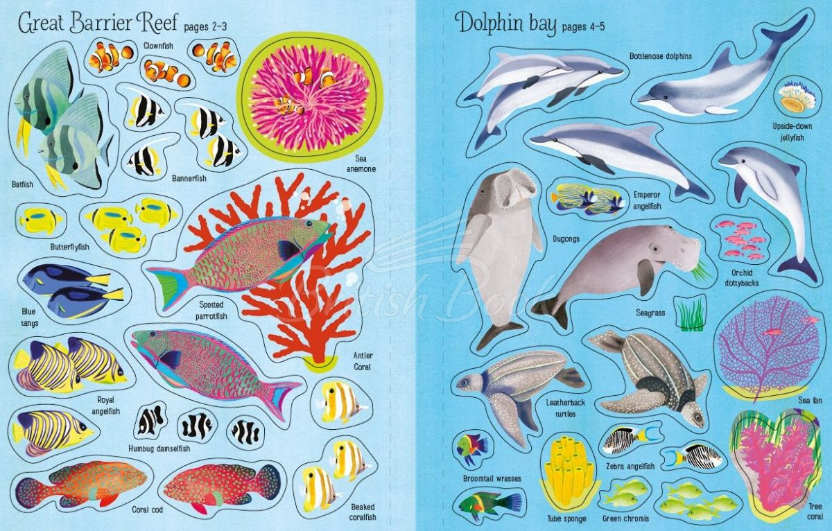 Книга First Sticker Book: Coral Reef изображение 3