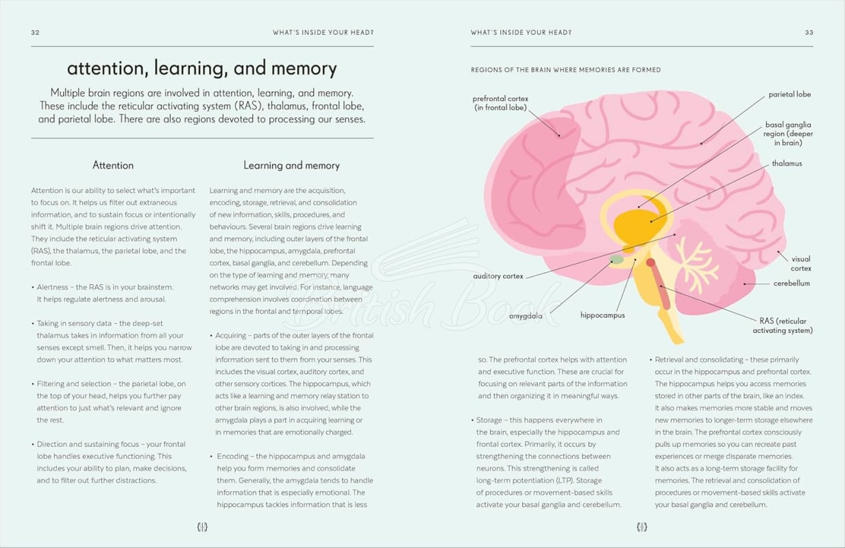 Книга Brain: An Owner's Guide изображение 2