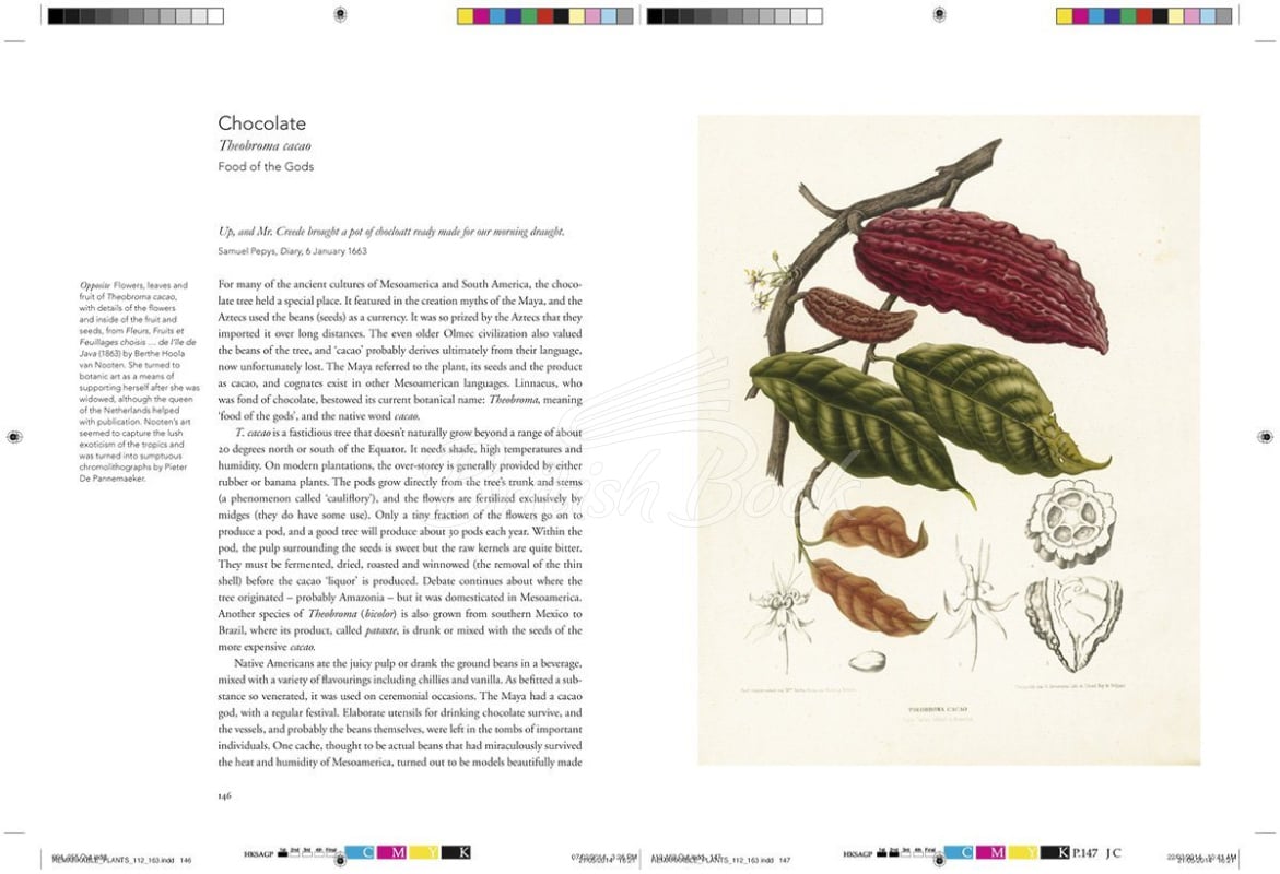 Книга Remarkable Plants изображение 9