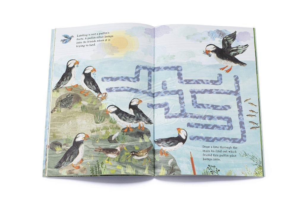 Книга The Big Sticker Book of Birds зображення 3