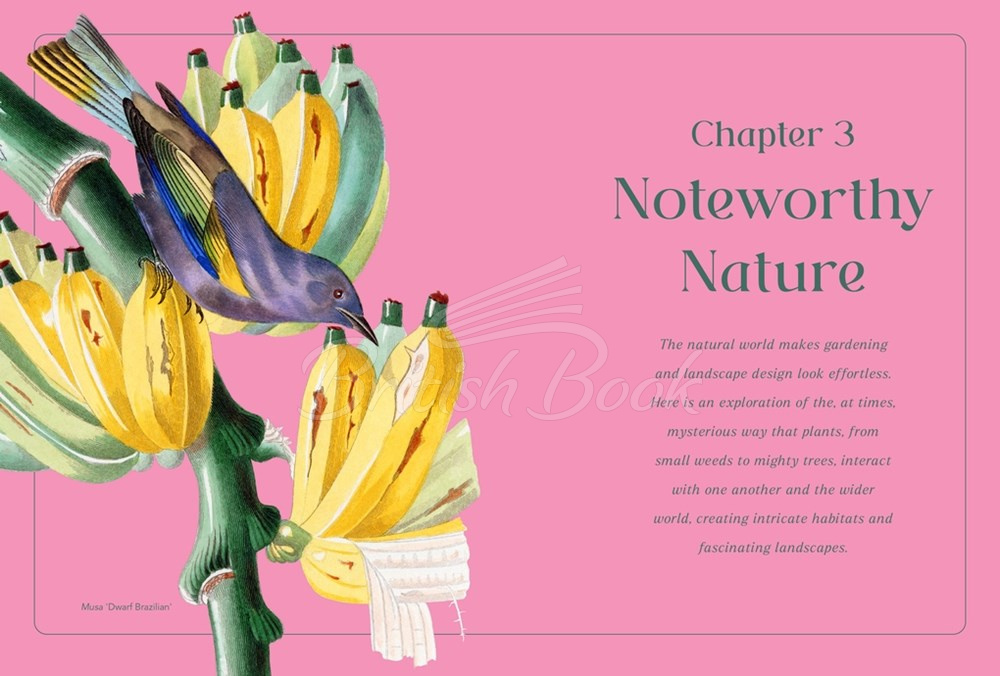 Книга RHS Horti Curious: A Gardener's Miscellany of Fascinating Facts & Remarkable Plants зображення 3