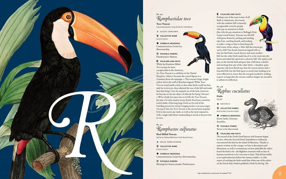 Книга The Complete Language of Birds изображение 8