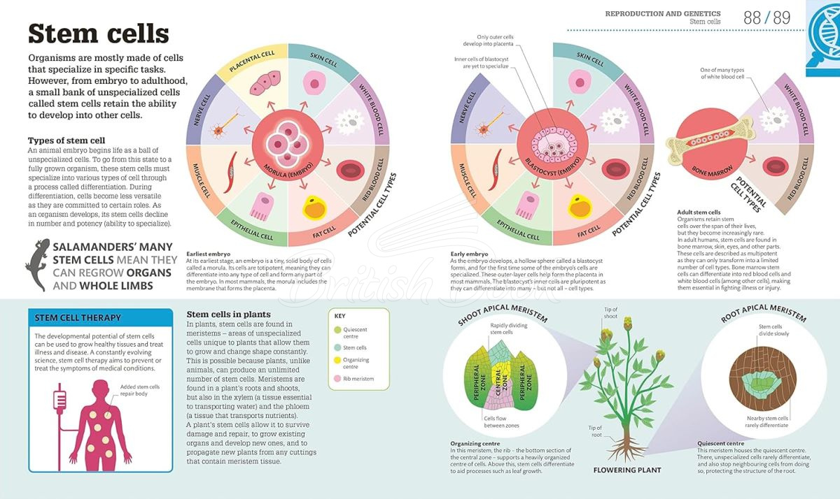 Книга How Biology Works зображення 6