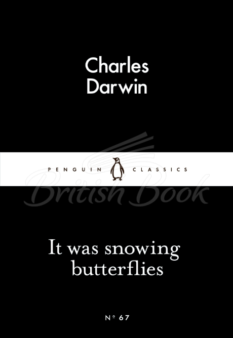 Книга It Was Snowing Butterflies зображення