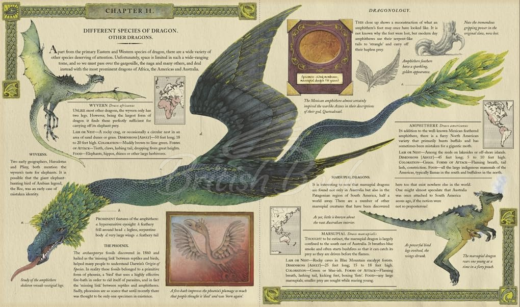 Книга Dragonology (20th Anniversary Edition) зображення 3