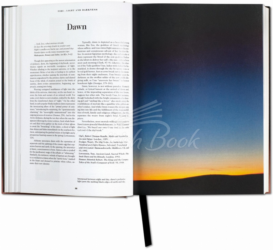 Книга The Book of Symbols: Reflections on Archetypal Images зображення 3