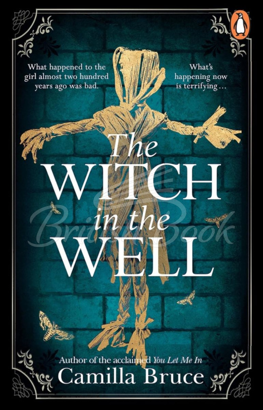 Книга The Witch in the Well зображення