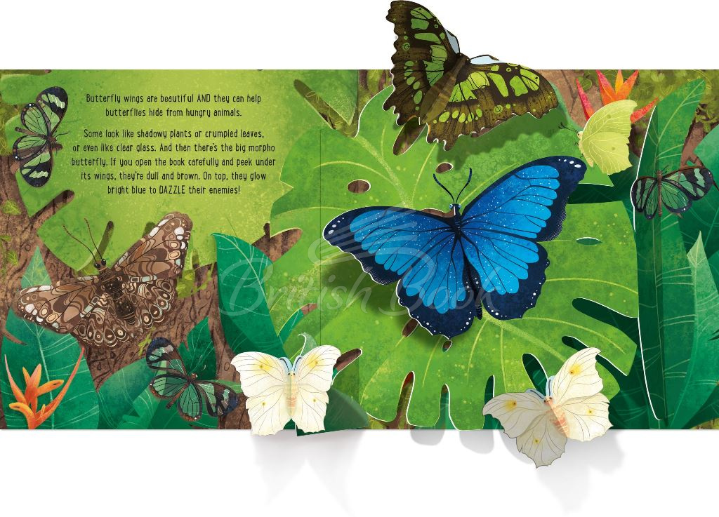 Книга Pop-Up Butterflies зображення 6