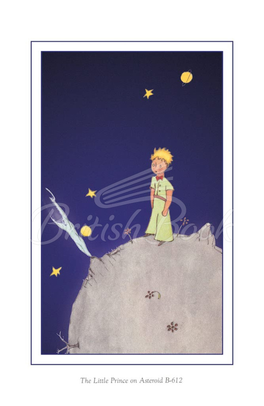 Книга The Little Prince изображение 2