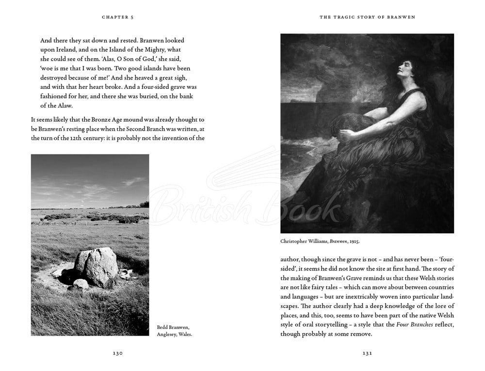 Книга The Celtic Myths That Shape the Way We Think зображення 5