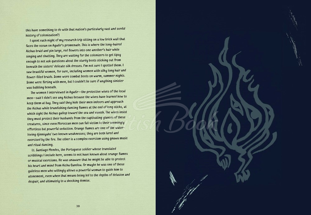 Книга Djinnology: An Illuminated Compendium of Spirits and Stories from the Muslim World зображення 12