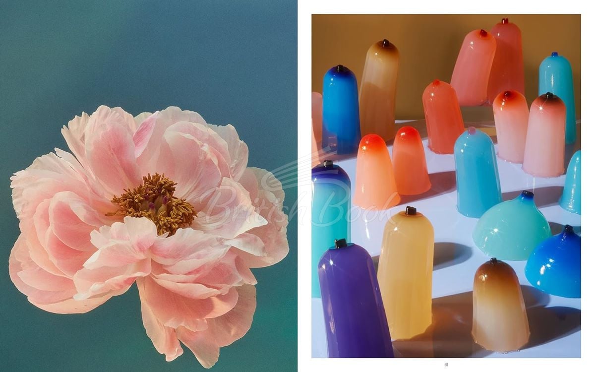Книга Still Life зображення 7