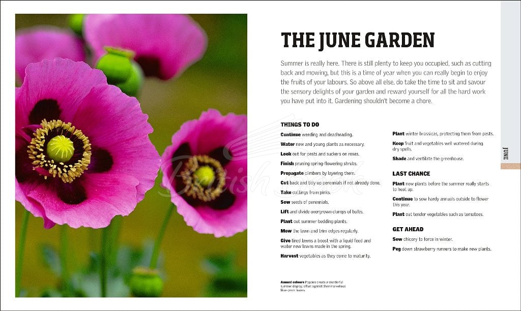 Книга RHS Gardening Through the Year зображення 3