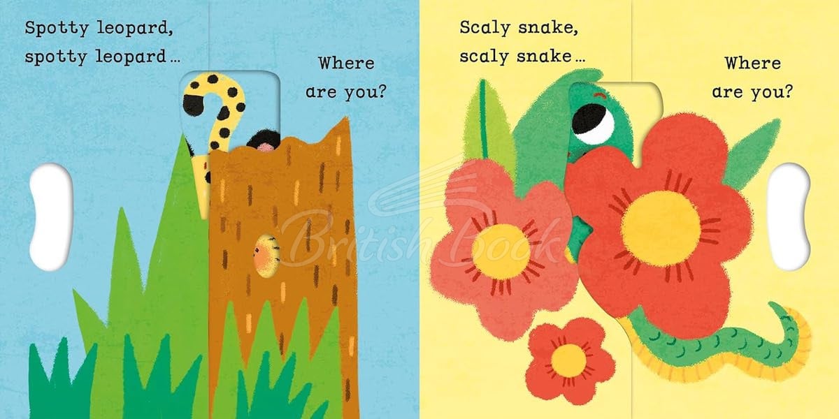 Книга Lion, Lion, PEEKABOO зображення 3