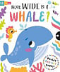Slide + Seek: How Wide is a Whale?