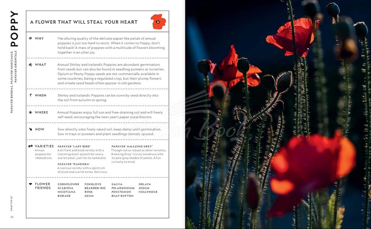 Книга The Super Bloom Handbook зображення 2