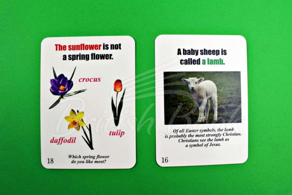 Карточки Fun Card English: Easter and Spring изображение 3
