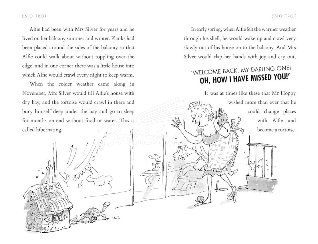 Книга Esio Trot изображение 1