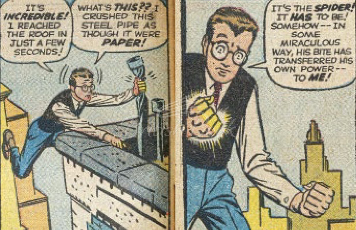 Книга Spider-Man: Panel by Panel изображение 1