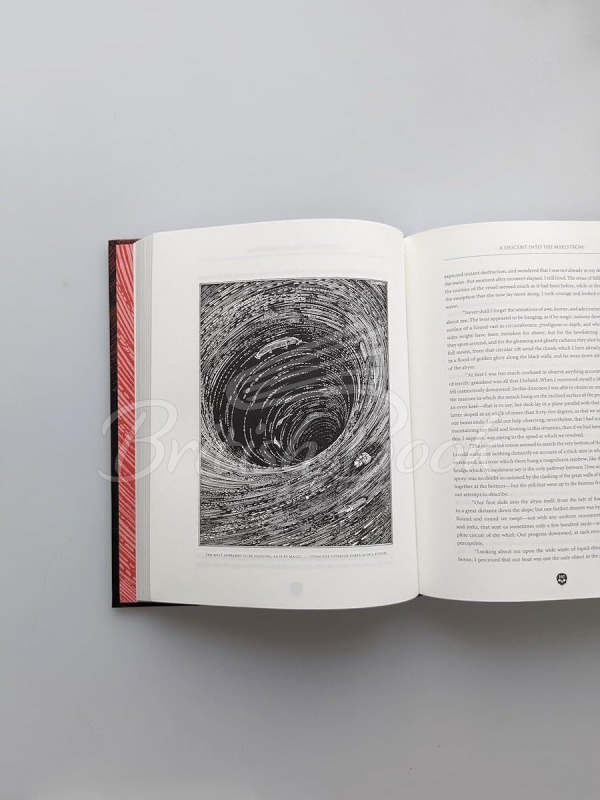 Книга Tales of Mystery and Imagination зображення 3
