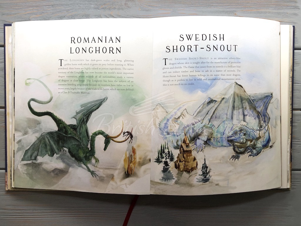 Книга Fantastic Beasts and Where to Find Them (Illustrated Edition) изображение 10