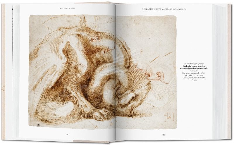 Книга Michelangelo. The Graphic Work зображення 4