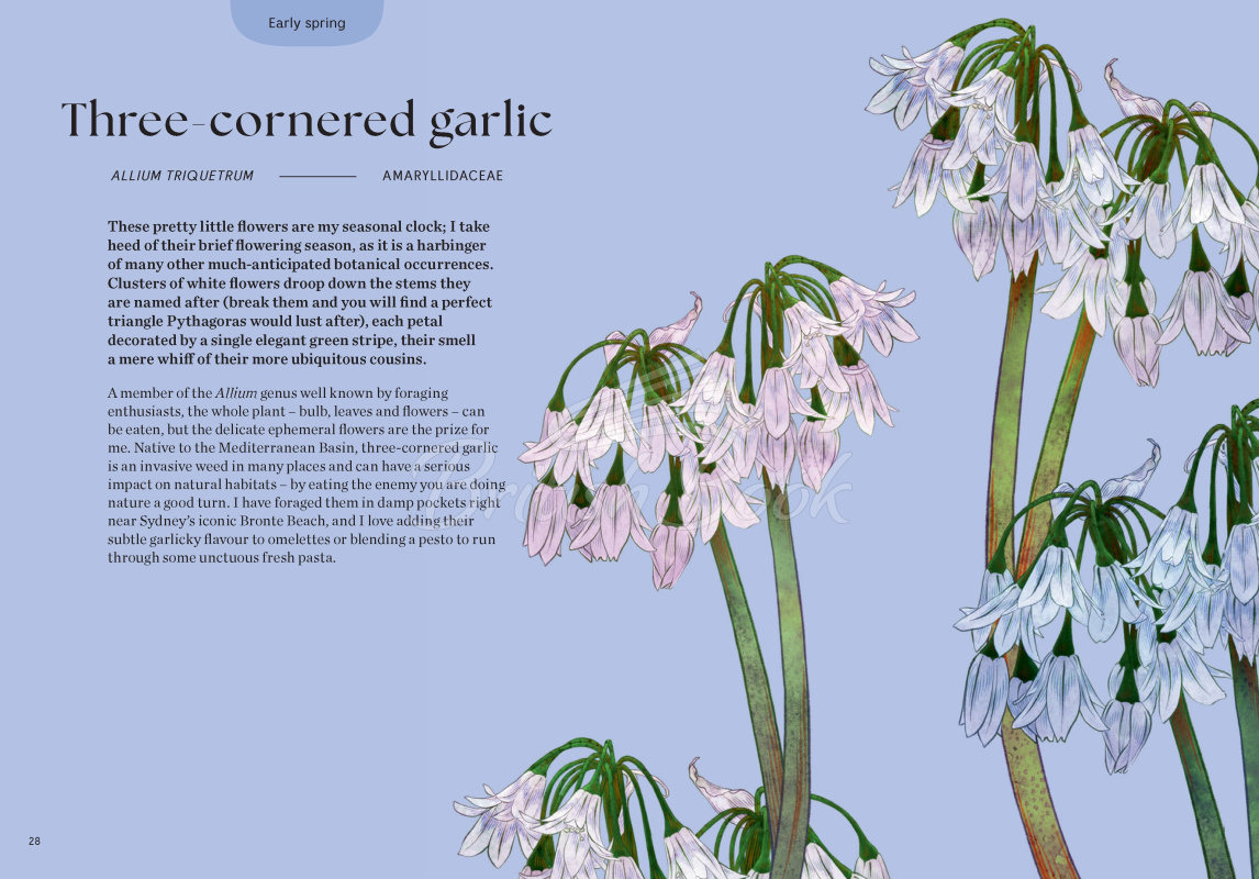 Книга Blossom: Practical and Creative Ways to Find Wonder in the Floral World зображення 3