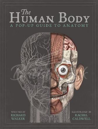 Книга The Human Body: A Pop-Up Guide to Anatomy зображення