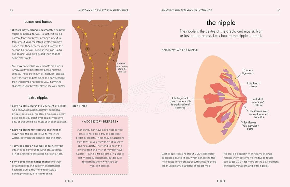 Книга Breasts: An Owner's Guide изображение 4