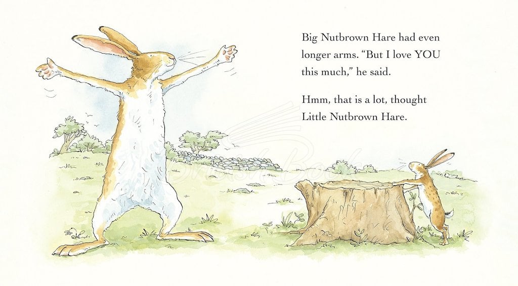 Набір книжок To the Moon and Back: Guess How Much I Love You and Will You Be My Friend? Slipcase зображення 4