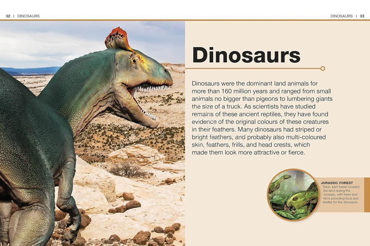 Книга Dinosaurs зображення 2