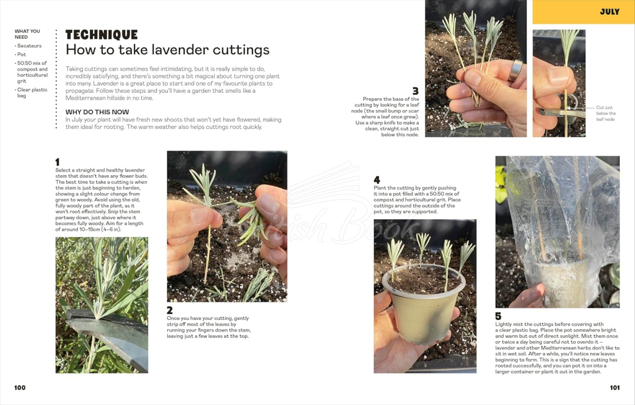 Книга The Easy Garden: Month-by-Month Advice to Improve Your Outside Space зображення 4