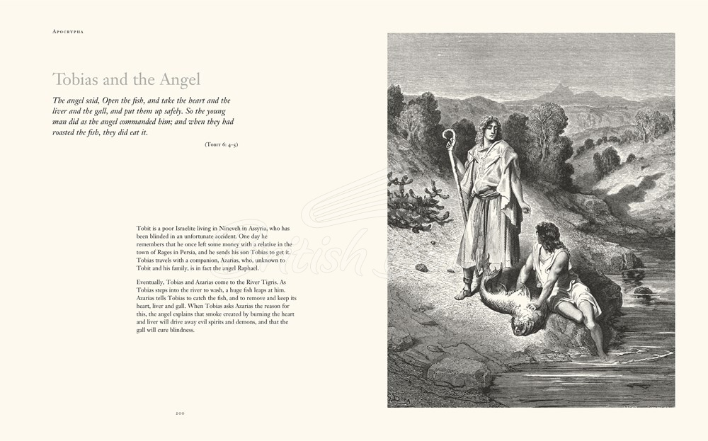 Книга Scenes from the Bible зображення 5