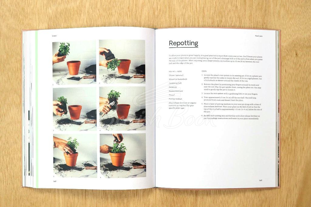 Книга Green: Plants for Small Spaces, Indoors and Out зображення 2