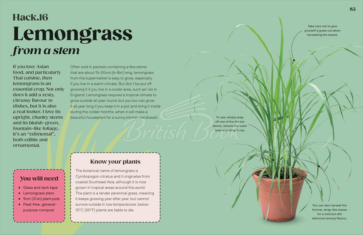 Книга Grow Your Groceries: 40 Hacks for Growing Plants from Your Weekly Shop зображення 5