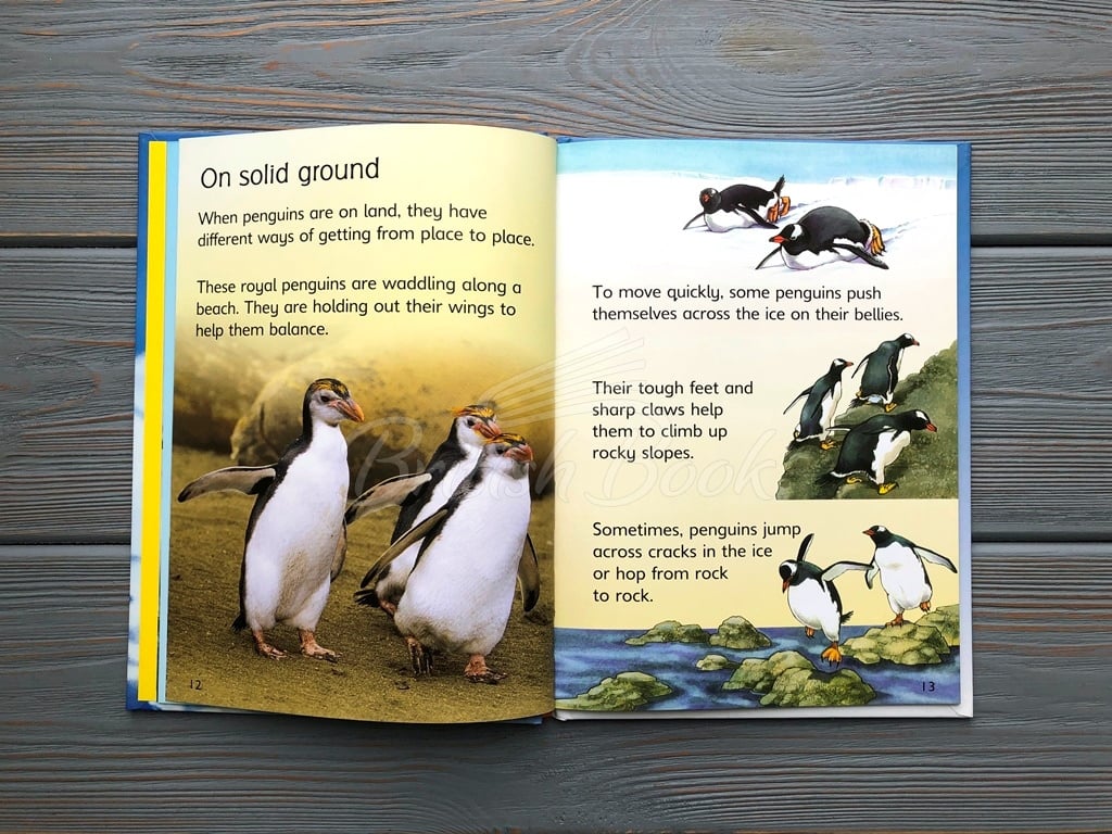 Книга Usborne Beginners Penguins изображение 6