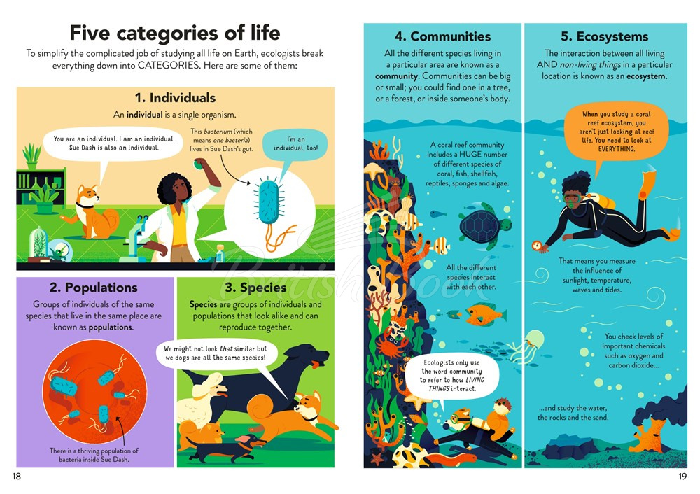 Книга Ecology for Beginners зображення 3