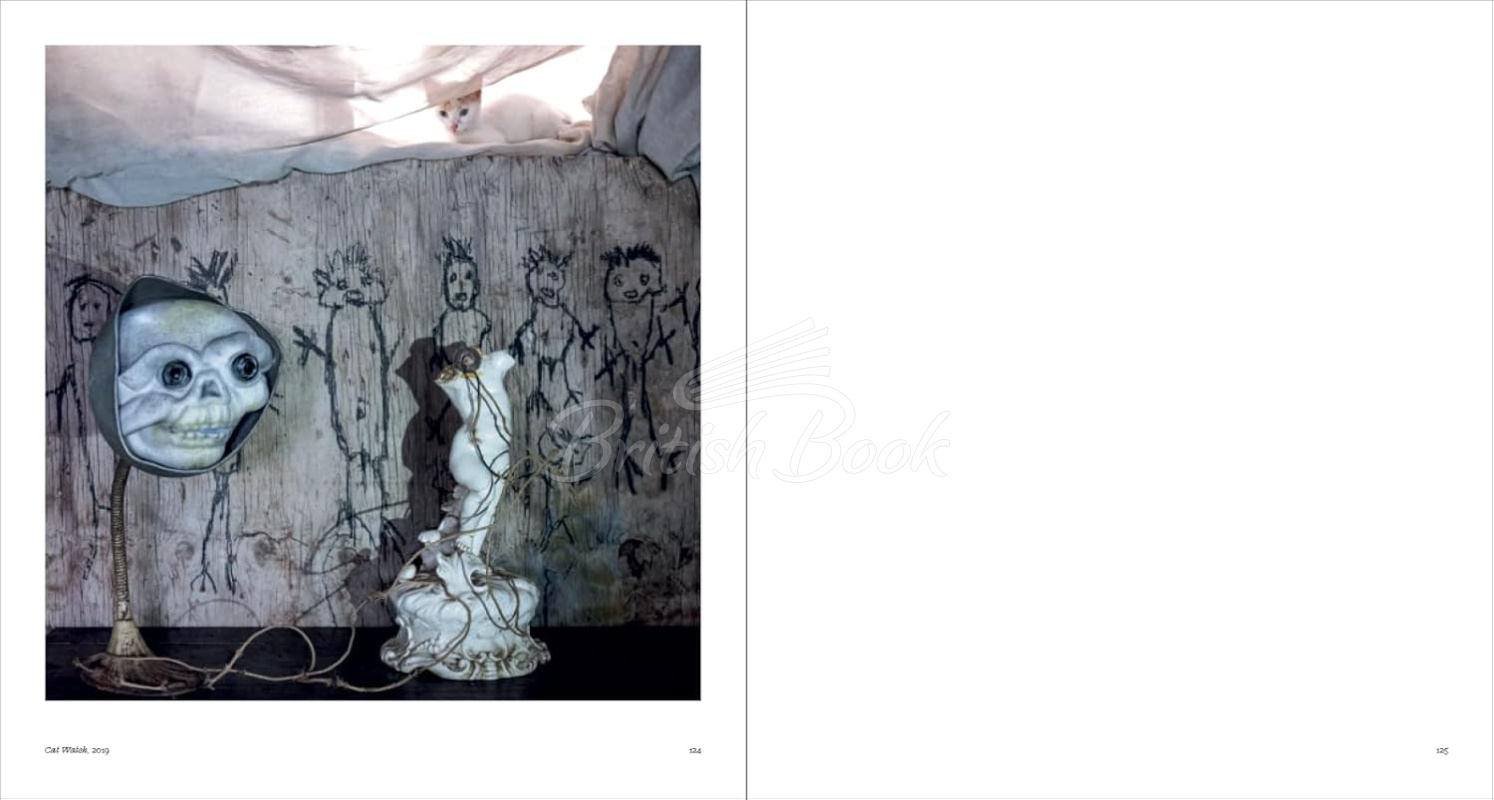 Книга Roger Ballen: Spirits and Spaces изображение 10