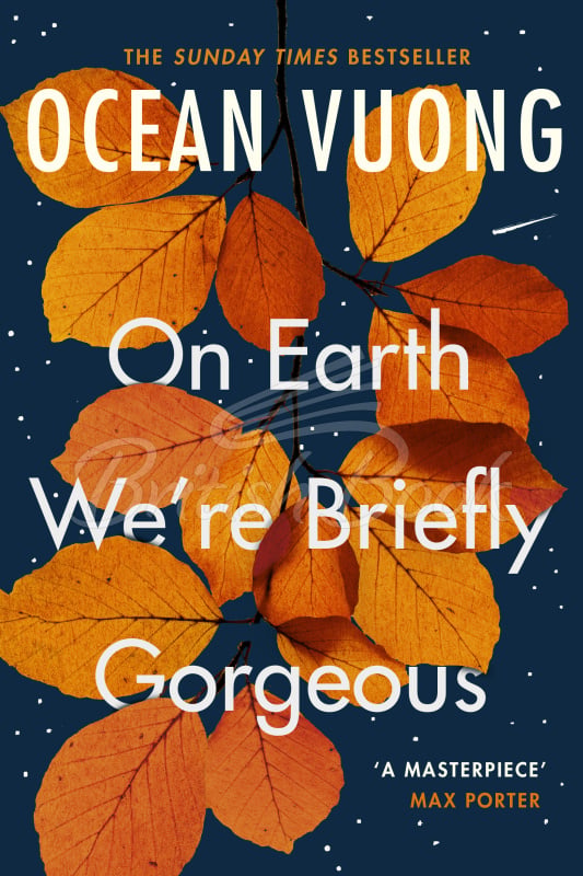Книга On Earth We're Briefly Gorgeous зображення