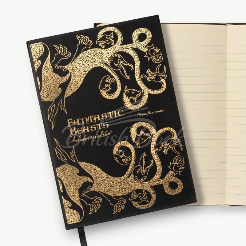 Блокнот Fantastic Beasts and Where to Find Them Notebook зображення 2