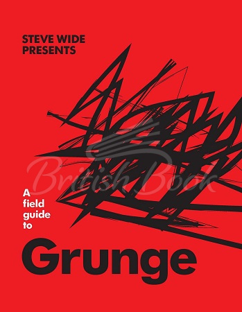 Книга A Field Guide to Grunge зображення