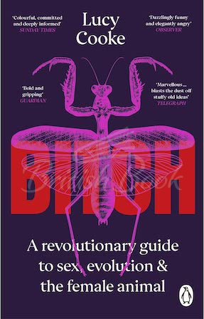 Книга Bitch: What Does it Mean to Be Female? зображення