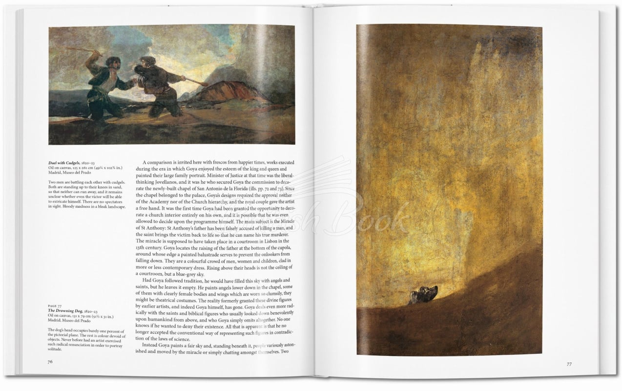 Книга Goya зображення 5