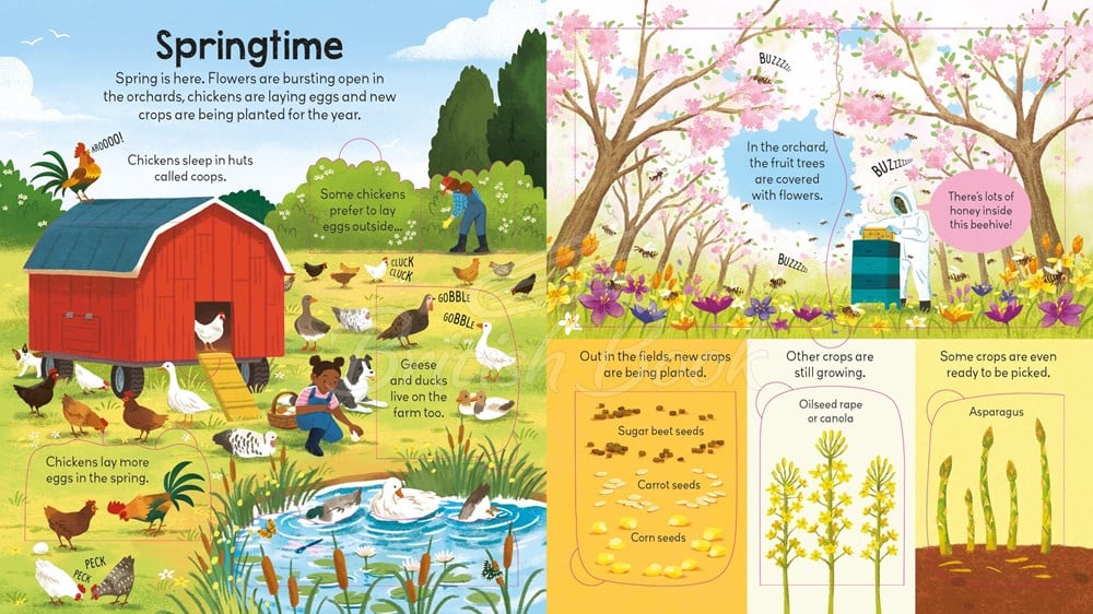 Книга Look inside a Farm зображення 1
