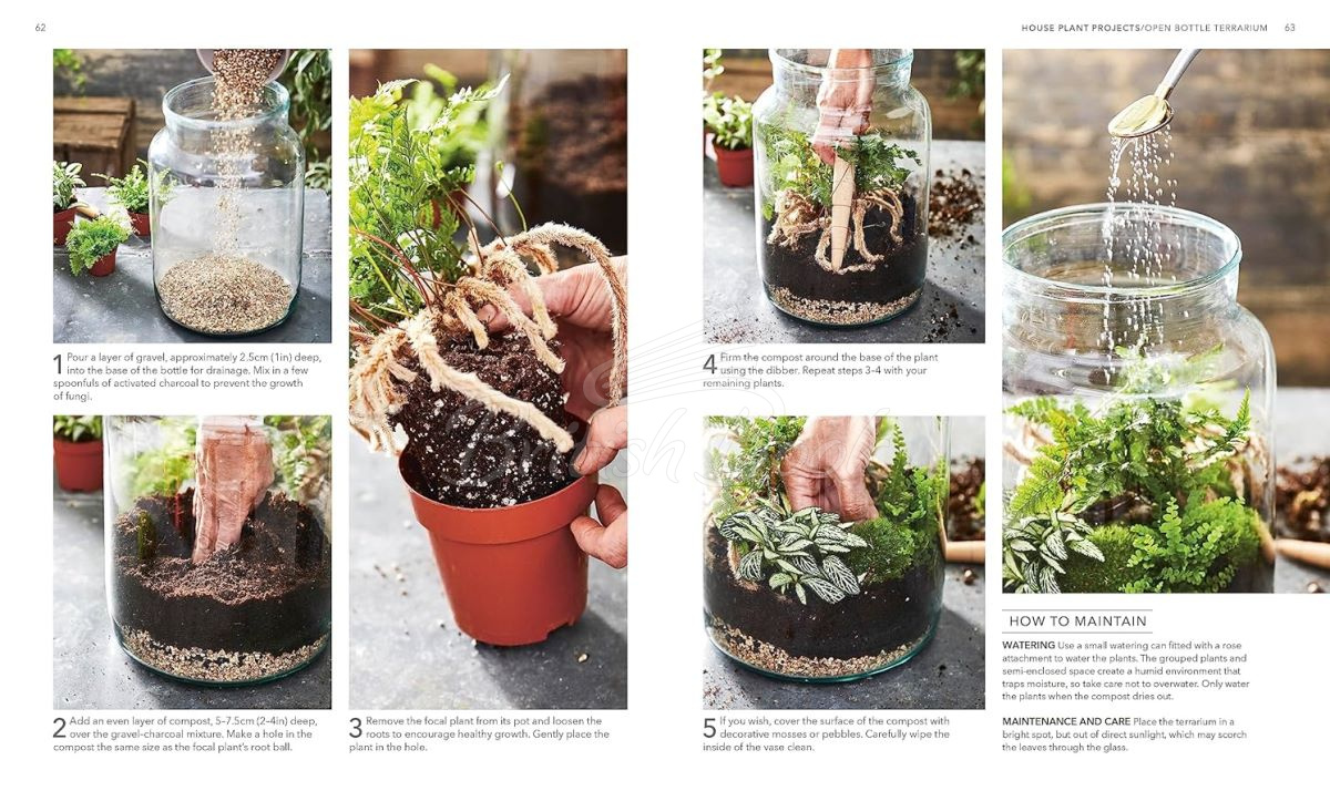 Книга RHS House Plant изображение 4